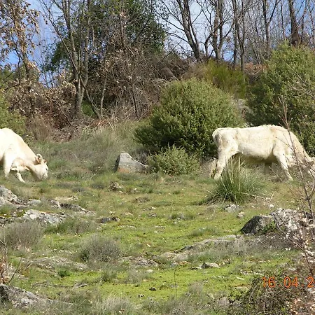 Landsted Casa Del Horno