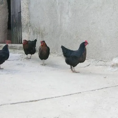 Casa Del Horno *